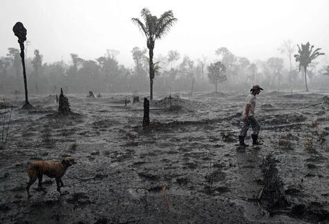 Amazonia brasileño devastada por las quemas deliberadas (foto: ANSA)