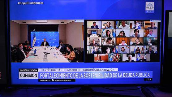 Martín Guzmán les explicó los alcances del proyecto a los senadores por videconferencia.