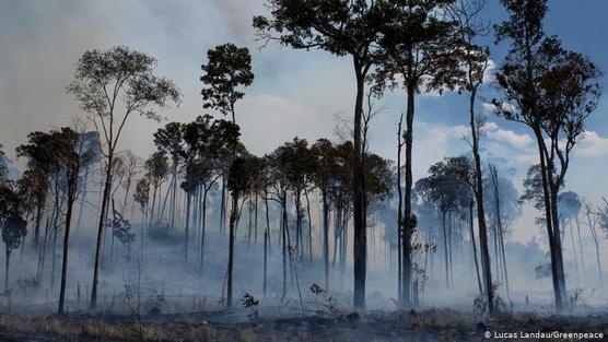 Incendio forestal en Novo Progresso, Brasil