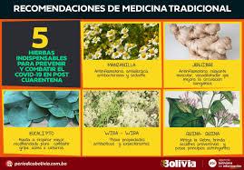 Las cinco plantas de las medicina tradicional