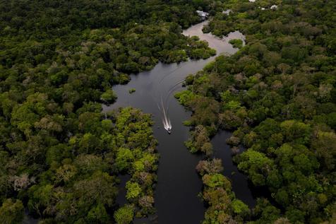 Vista aérea de la selva amazónica (foto: ANSA)