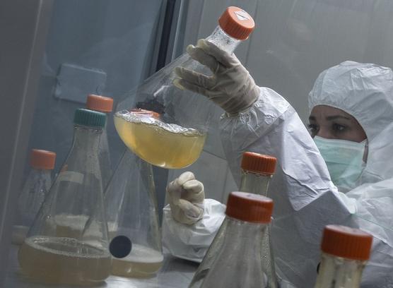 Científica trabaja en el desarrollo de Abdala, una vacuna experimental para el COVID-19, en el Centro de Ingeniería Genética