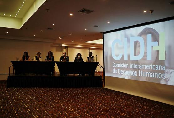 La CIDH en su primera audiencia en Bogotá