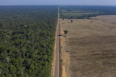 Una ruta en medio de la deforestada amazonia