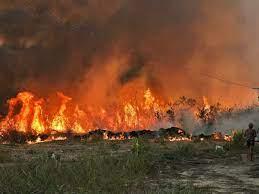 Predio incendiado al sur de Novo Progresso, en el estado amazónico de Pará, en el noreste de Brasil 