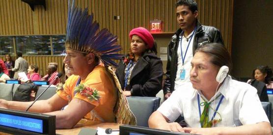 Consejo Indigenista Misionero (CIMI)