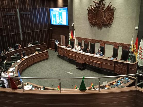 Senado boliviano derogó la polémica ley
