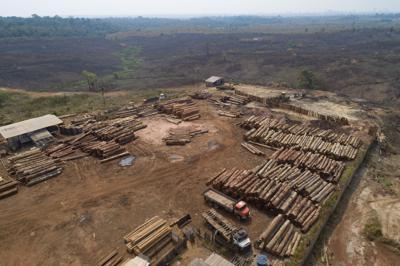 Ocultaron crecimiento de tasa de deforestación