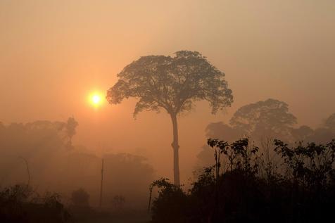 Un sector del Amazonas brasileño bajo un manto de humo por las quemas ilegales para desforestar (foto: ANSA)