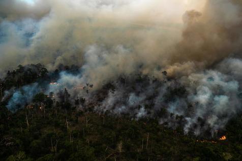 Récord de deforestación en 10 años en la Amazonia (foto: AFP)