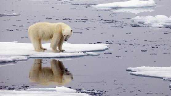 El cambio climático "sigue siendo el desafío más grande de la humanidad"