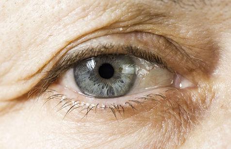 Una técnica chilena para diagnosticar Alzheimer a través de los ojos (foto: Ansa)