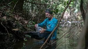 Investigadora Lucia Rapp Py-Daniel, del Instituto de Investigaciones de la Amazonia de Brasil