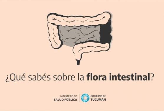 Flora intestinal 