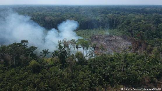 Superficie de selva quemada y talada en la Amazonía.