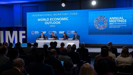 El FMI mantiene proyecciones de crecimiento de Argentina / Foto: FMI