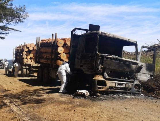 Camiones madereros incendiados 
