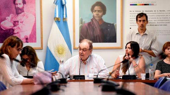 Foto: Prensa Diputados.