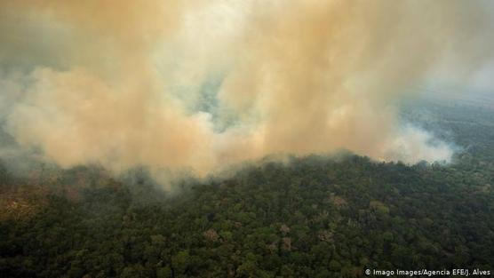 Una zona quemada del bosque tropical de la Amazonia en Prainha, en el estado de Pará, Brasil