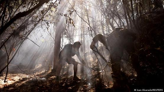 Un lugareño y un soldado intentan extinguir un incendio forestal en el área de Dichato.