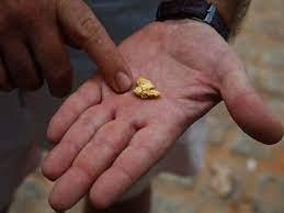 Pepita de oro extraída de un río amazónico