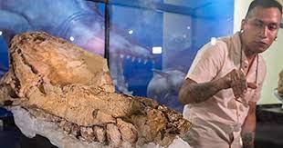 Benites-Palomino, un paleontólogo peruano jefe del equipo de especialistas (AFP)