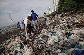 Un grupo de voluntarios durante una jornada de limpieza de plásticos en las playas de un sector de la Bahía de Panamá