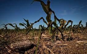 El calentamiento globlal seca la tierra