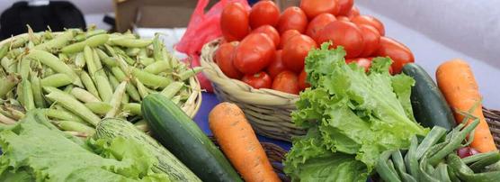 La canasta alimentaria básica garantizada para los bolivianos