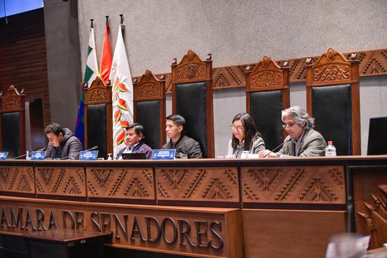 El procurador general del Estado, Wilfredo Chávez, durante su informe oral en la Cámara de Senadores. Foto: Facebook Senado