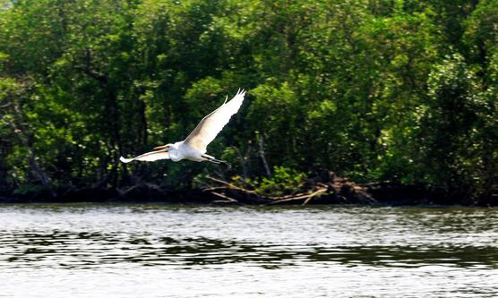 Islas Vitória no recibirá visitas