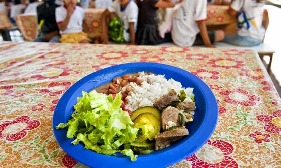 Alimentos sanos para las escuelas