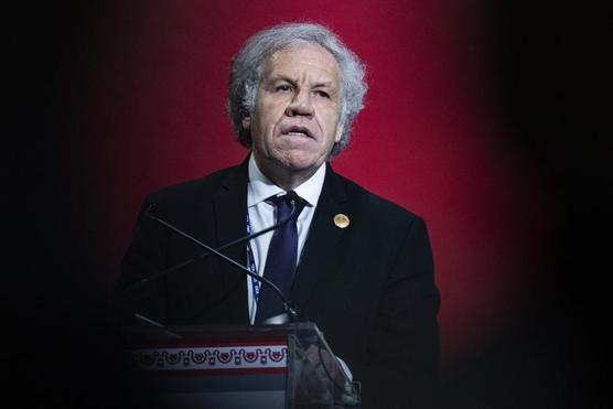 Almagro gran conocedor de fraudes electorales