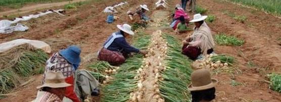 Mujeres dueñas de las tierras y su producción