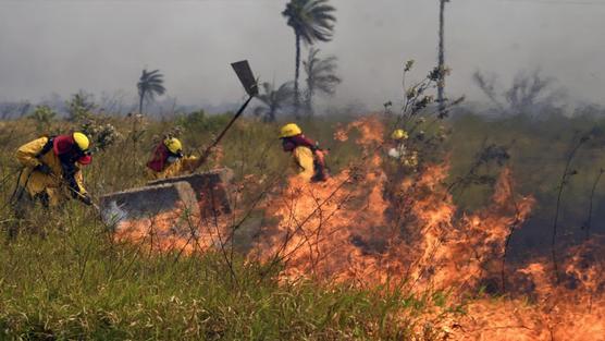 Bomberos intentan apagar el incendio forestal en Santa Cruz de la Sierra