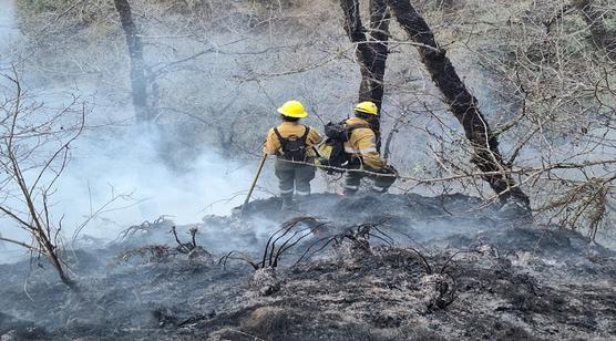 Incendios