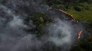 uno de los incendios causados en la selva amazónica, en el municipio de Manaquiri cerca a Manaos, estado de Amazonas.EFE