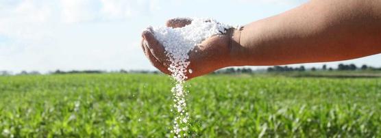 Una mano vuelca el agroquímico