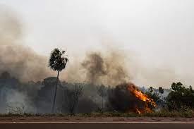 Pantanal en peligro por incendios interminables