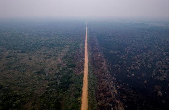 Fotografía aérea de la vegetación quemada tras un gran incendio a orillas de la carretera MS-184 en el Pantanal brasileño - EFE