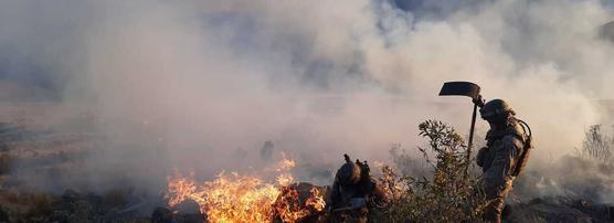 Intensa actividad desarrollan los bomberos bolivianos