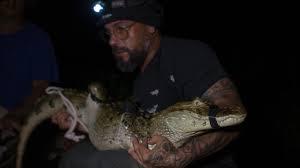 El biólogo Ricardo sostiene un caimán en la laguna de Jacarepaguá, región oeste de Rio de Janeiro - AFP