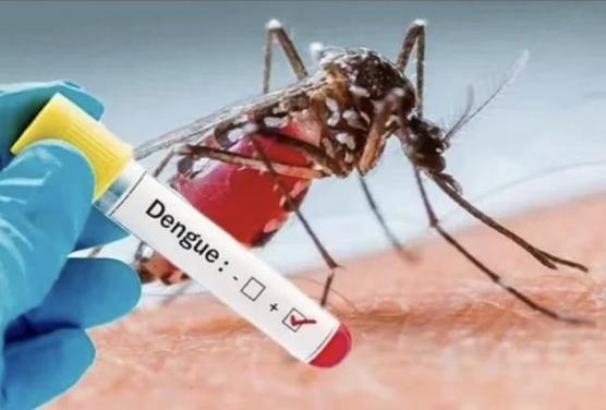 Dengue