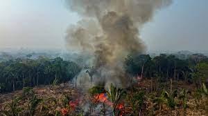 Incendio ilegal provocado por unos agricultores devoran árboles en Manaquiri, en el estado de Amazonas