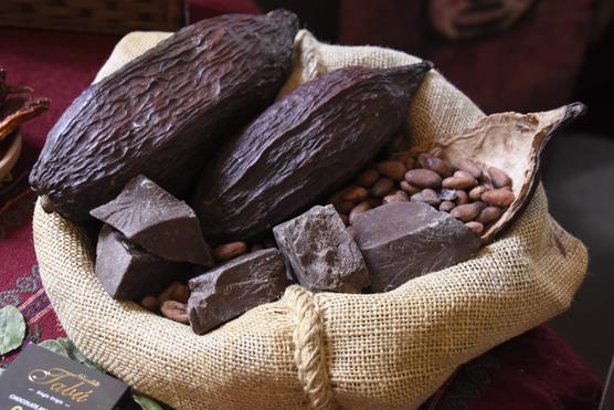 Grano y chocolate de cacao boliviano. Foto: ABI 
