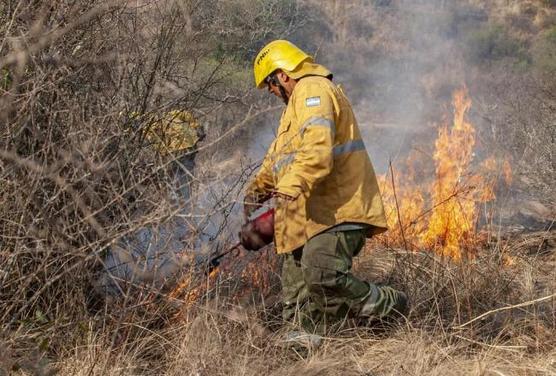 Sofocan incendios