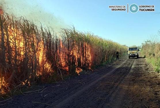 Incendios forestales