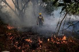 Comprueban fuego intencional en todos los casos