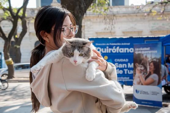 Servicio veterinario