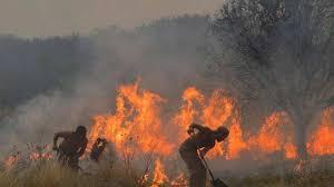 Los incendios forestales dañan el futuro de Brasil